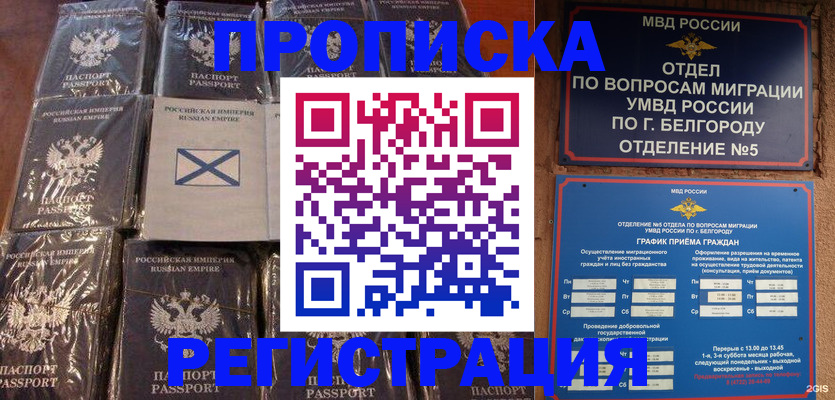 прописка гарантия в Октябрьском